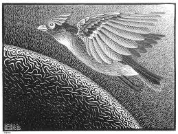 the First Day of the Creation, by Escher